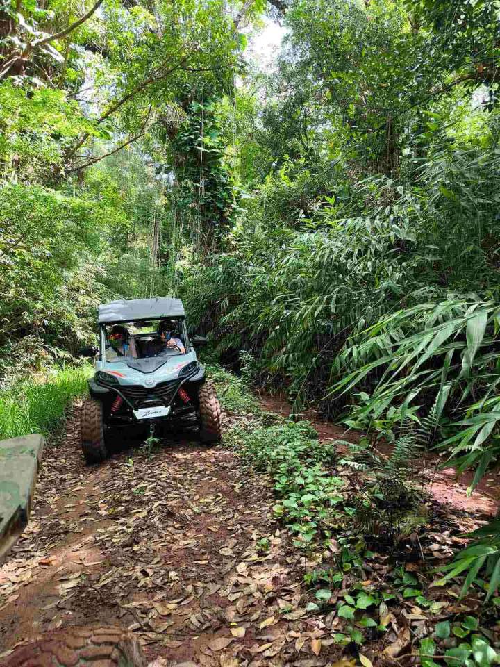 Circuit de randonnée en buggy La Réunion