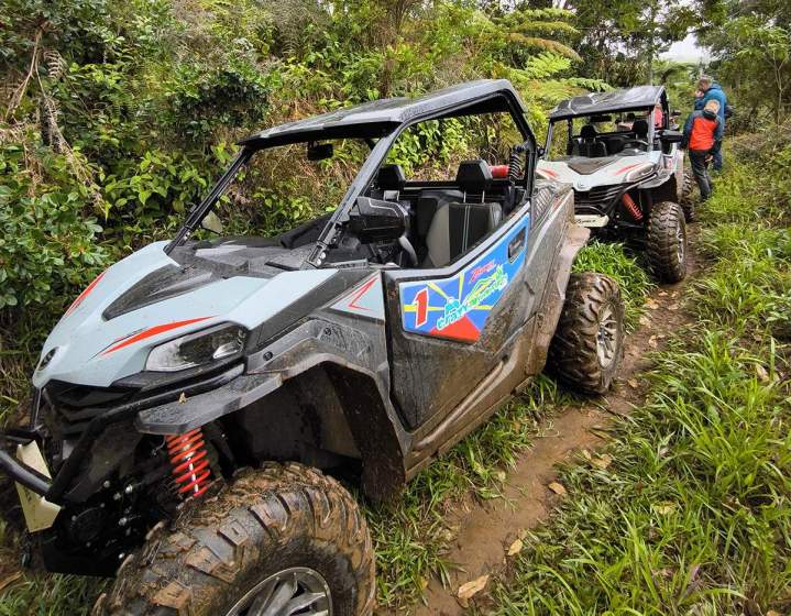 Randonnées en buggy